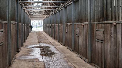 Image showing how large a stables can be.